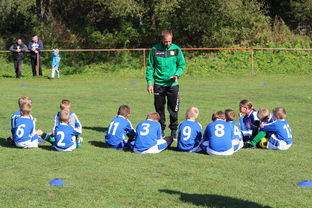 开云登陆-德甲球队战术模拟平台辅助比赛策略调整的应用研究，德甲游戏